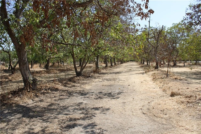 view of road featuring a rural view