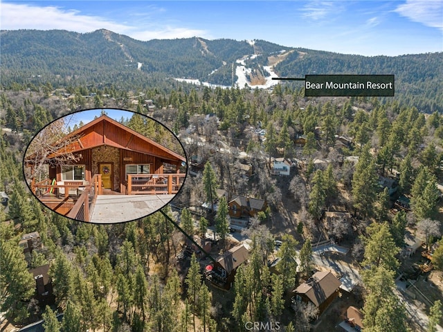 birds eye view of property featuring a mountain view