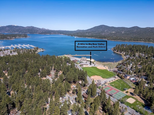 birds eye view of property featuring a water and mountain view