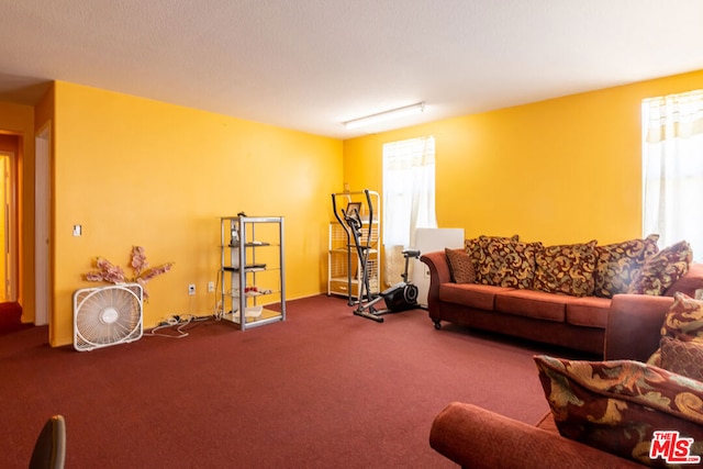 living room featuring a healthy amount of sunlight and carpet floors