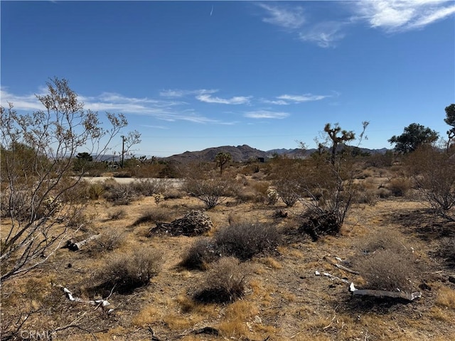 7217 Sunny Vista Rd, Joshua Tree, CA 92252
