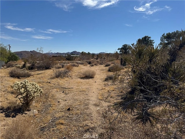 7217 Sunny Vista Rd, Joshua Tree, CA 92252