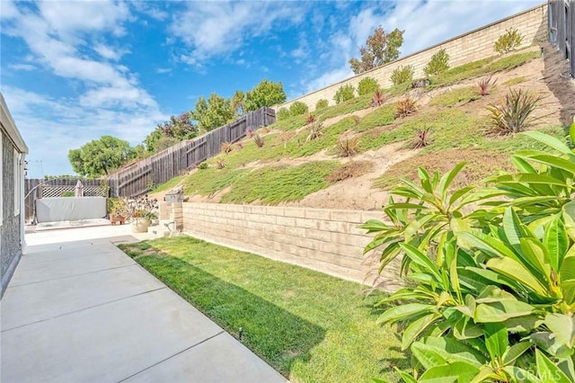 view of yard featuring a patio