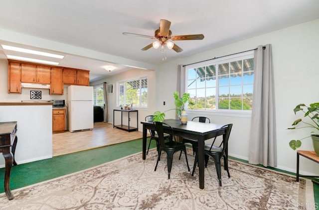 dining area with ceiling fan and light wood-type flooring