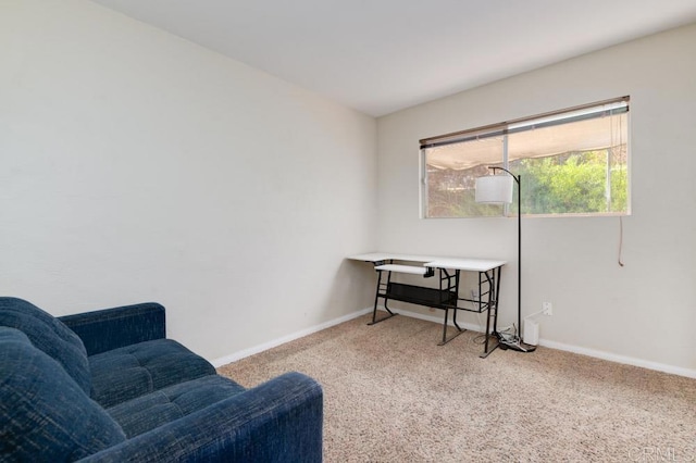 sitting room featuring carpet