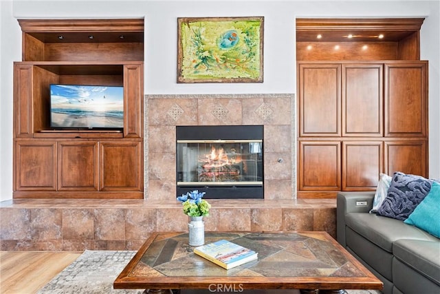 living room featuring a premium fireplace and wood-type flooring