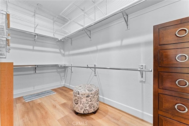 spacious closet featuring light hardwood / wood-style flooring