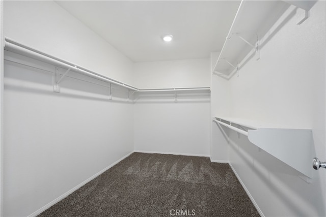 spacious closet with dark carpet