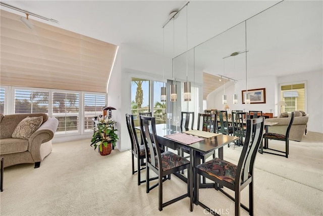 carpeted dining area featuring rail lighting