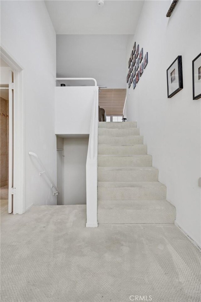 stairs featuring carpet flooring