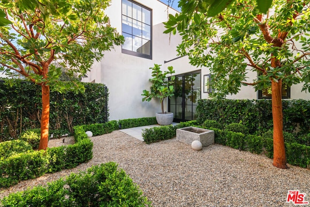 view of yard featuring a patio area