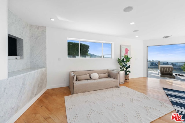 living room featuring hardwood / wood-style floors