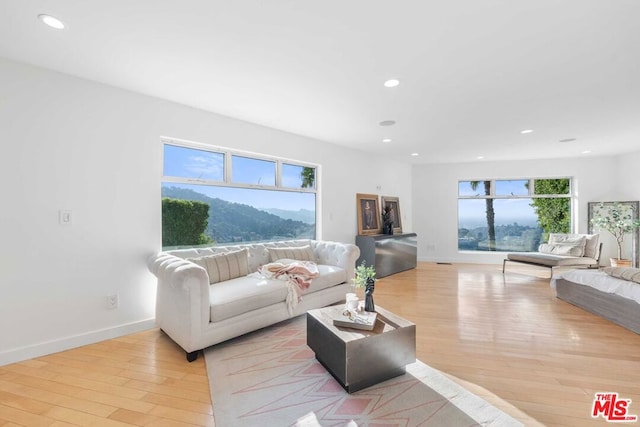 living room with a healthy amount of sunlight and light hardwood / wood-style floors