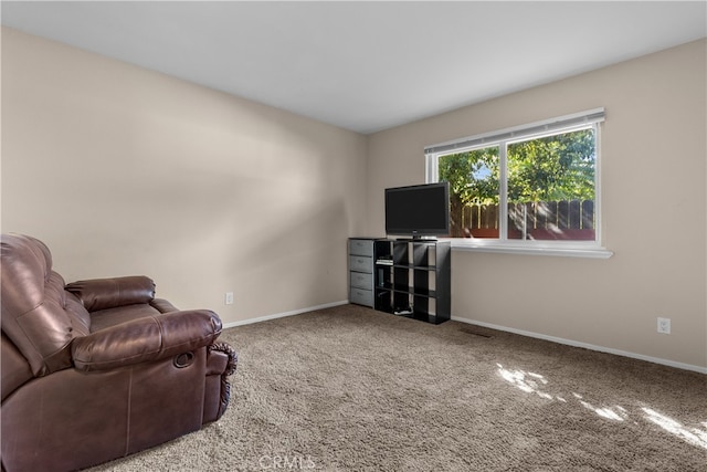 living area featuring carpet flooring