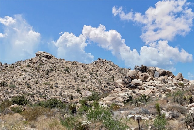 60300 Mountain Trl, Joshua Tree CA, 92252 land for sale