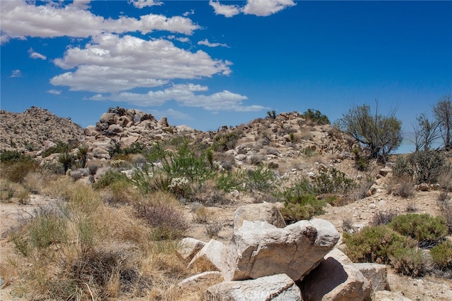 Listing photo 3 for 60300 Mountain Trl, Joshua Tree CA 92252