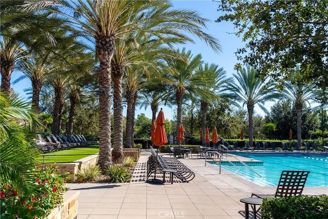 view of pool featuring a patio area