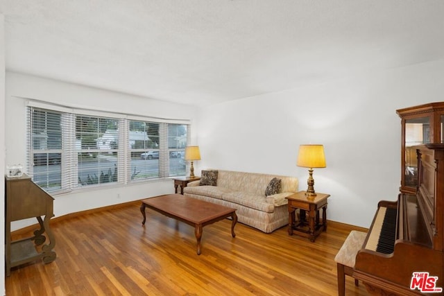 living room with wood-type flooring