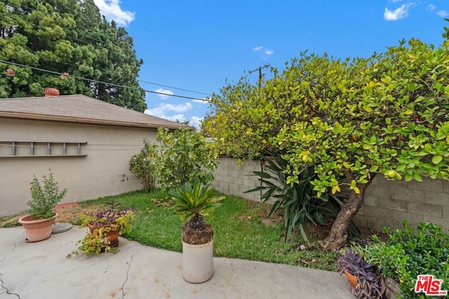 view of yard featuring a patio area