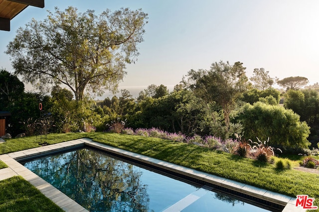 view of pool with a yard