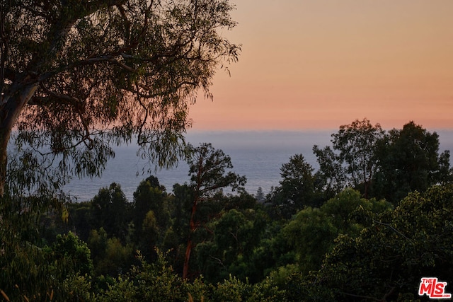 nature at dusk with a water view