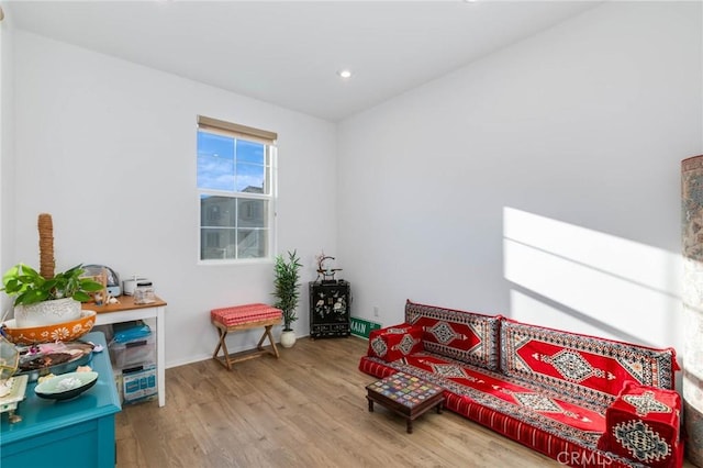 sitting room featuring hardwood / wood-style flooring