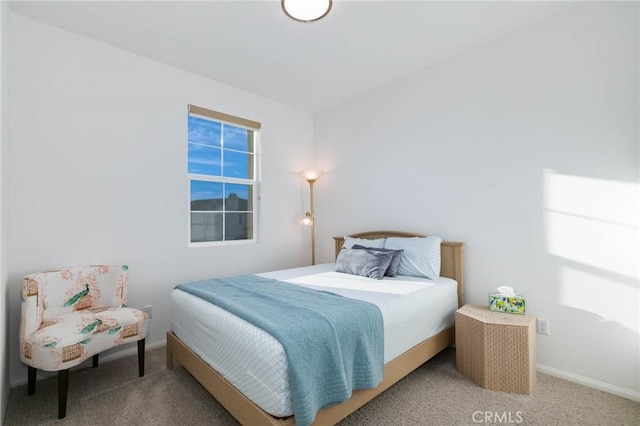 bedroom with carpet floors