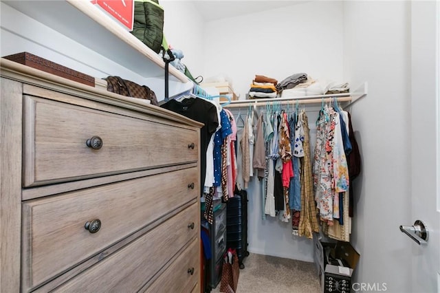 walk in closet featuring carpet flooring