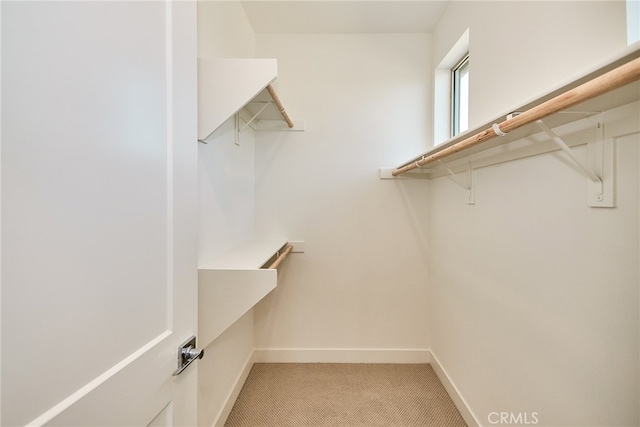 walk in closet with light carpet