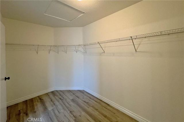 spacious closet featuring hardwood / wood-style flooring