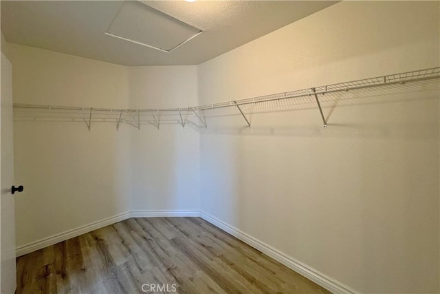 spacious closet featuring attic access and light wood-style flooring