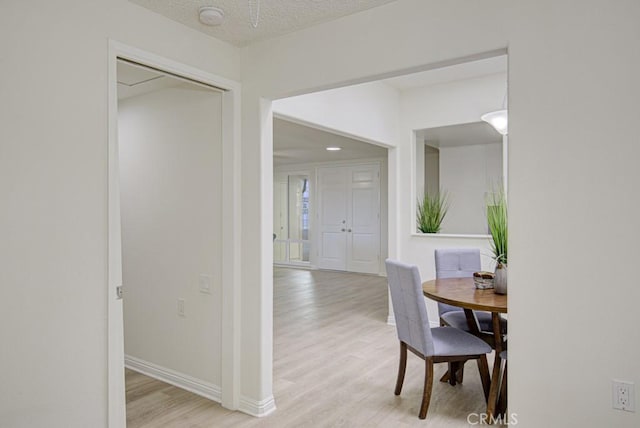 dining space with light hardwood / wood-style flooring and a textured ceiling