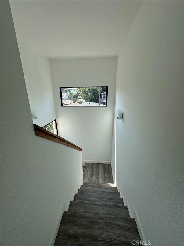 stairway with hardwood / wood-style floors