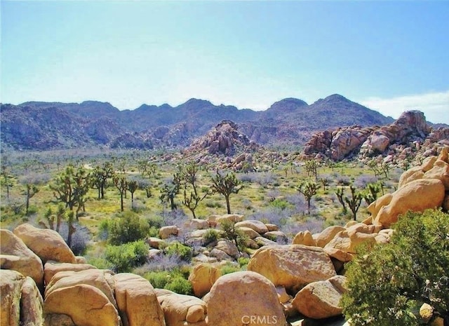 61936 El Reposo Cir, Joshua Tree CA, 92252 land for sale