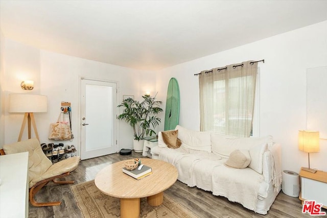 living room featuring wood-type flooring