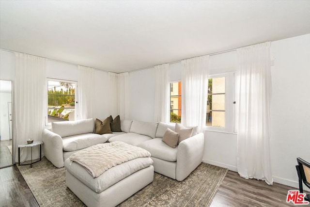 living room featuring hardwood / wood-style floors