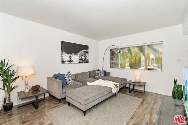 living room featuring hardwood / wood-style floors