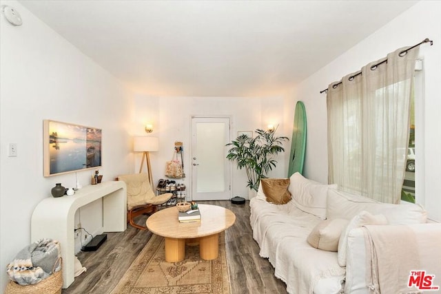 living room with hardwood / wood-style flooring