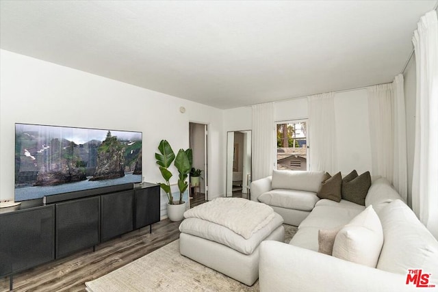 living room featuring hardwood / wood-style floors