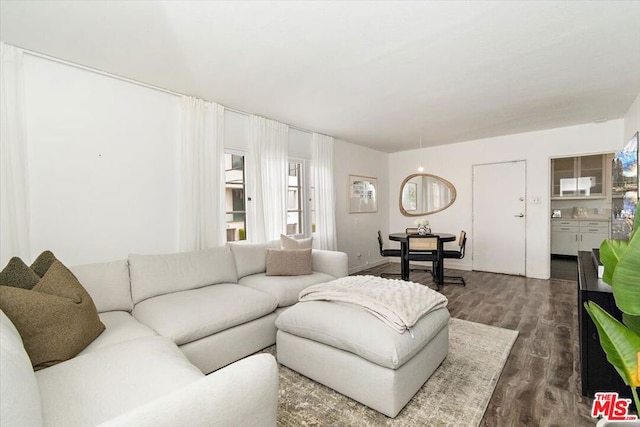 living room featuring dark hardwood / wood-style flooring