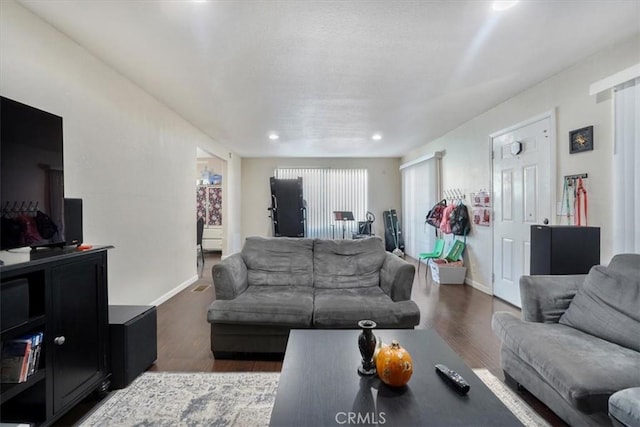 living room featuring dark hardwood / wood-style flooring