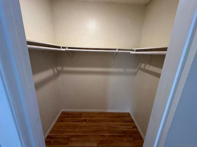 spacious closet featuring dark wood-type flooring