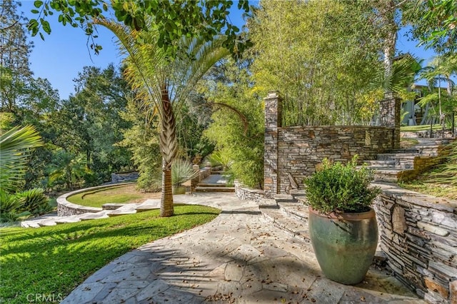 surrounding community with a patio and a yard