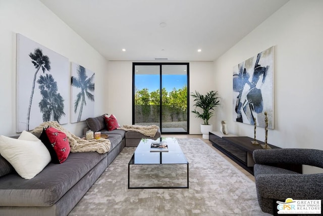 living room with expansive windows and wood-type flooring