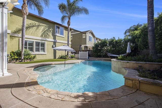 view of swimming pool