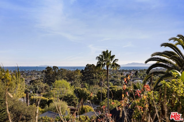 view of landscape featuring a water and mountain view