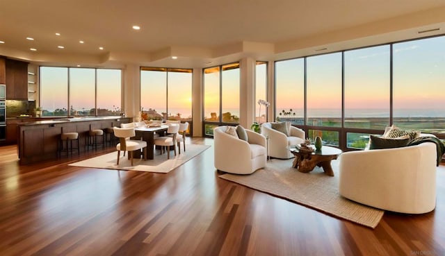 living room featuring hardwood / wood-style floors and a wealth of natural light