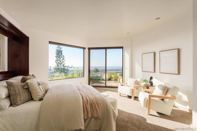 bedroom featuring access to exterior and carpet