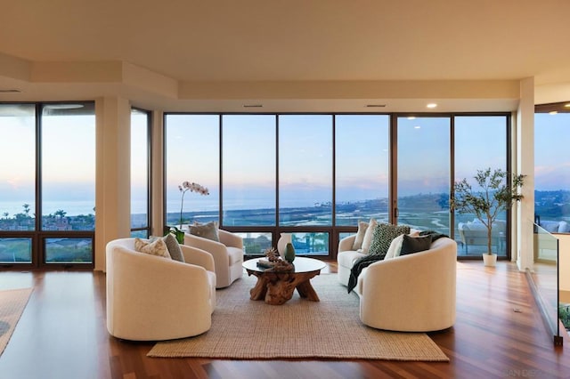 living room featuring a wall of windows, hardwood / wood-style flooring, and a healthy amount of sunlight