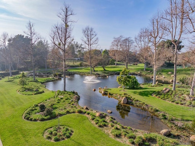 property view of water